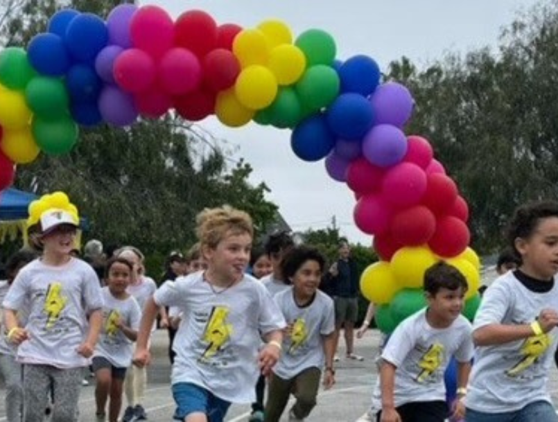 Dolphin Derby Banner